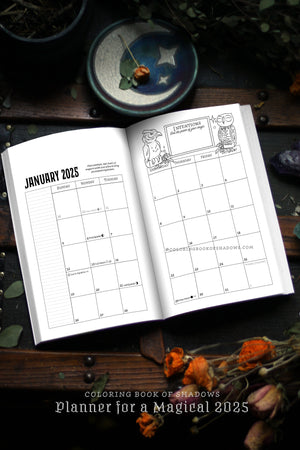 Coloring Book of Shadows: Planner for a Magical 2025
