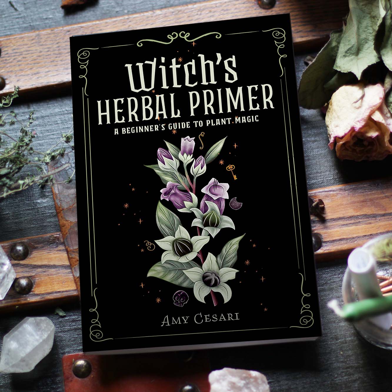 FULL COLOR Witch's Herbal Primer