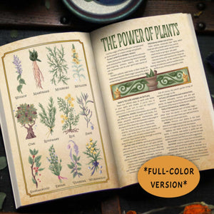 FULL COLOR Witch's Herbal Primer