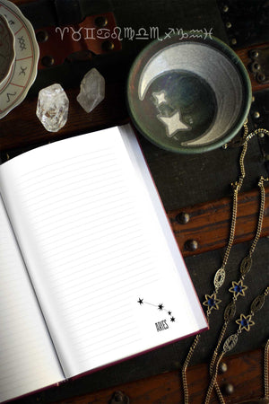 Zodiac Journals (Hardcover)