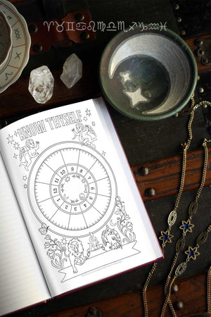 Zodiac Journals (Hardcover)