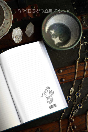 Zodiac Journals (Hardcover)