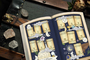 FULL COLOR Planner for a Magical 2023