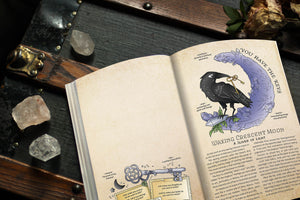 FULL COLOR Planner for a Magical 2023