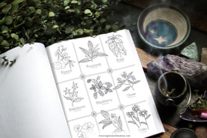 Coloring Book of Shadows