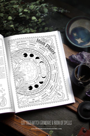 Coloring Book of Shadows: Cottage Witch