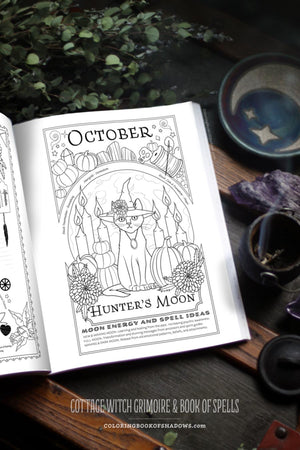 Coloring Book of Shadows: Cottage Witch