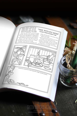 Coloring Book of Shadows: Green Witch's Herbal