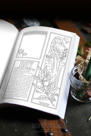 Coloring Book of Shadows: Green Witch's Herbal