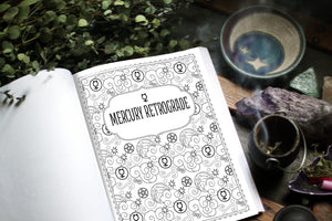 The Book of Secrets
