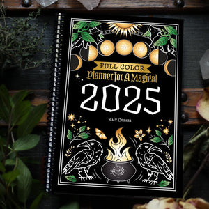 FULL-COLOR Planner for a Magical 2025