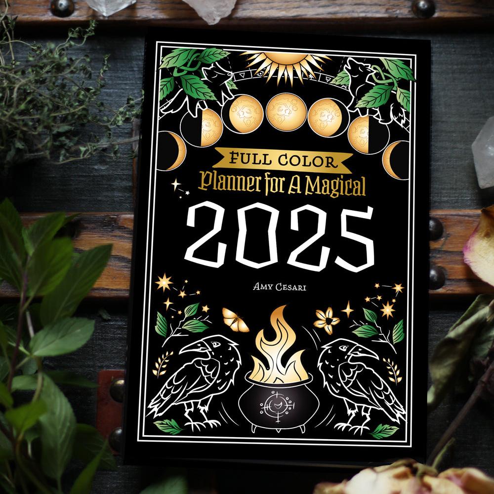 FULL-COLOR Planner for a Magical 2025