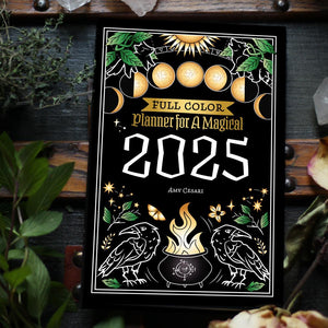 FULL-COLOR Planner for a Magical 2025