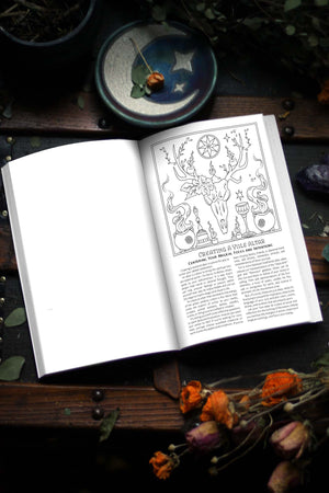 Coloring Book of Shadows: Yule the Winter Solstice