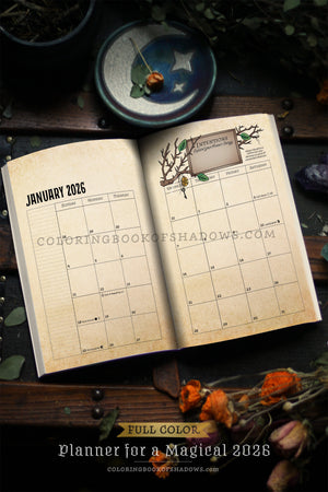 FULL-COLOR Planner for a Magical 2026