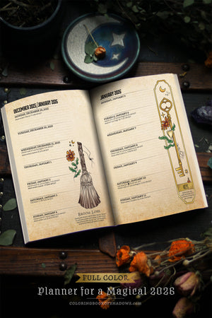 WHOLESALE PAPERBACK - x6 FULL-COLOR Planner for a Magical 2026