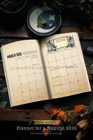 FULL-COLOR Planner for a Magical 2026
