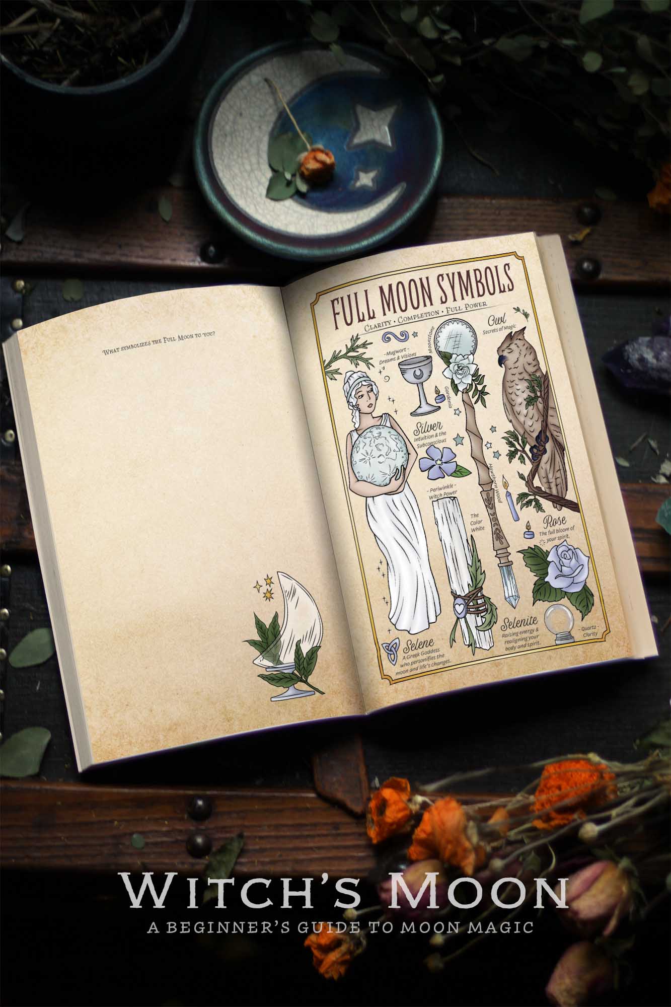 Moon offers Magic book + (Witchy accessories)