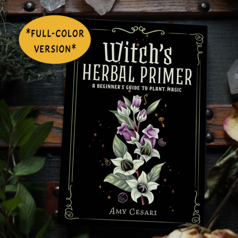 FULL COLOR Witch's Herbal Primer