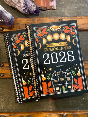 FULL-COLOR Planner for a Magical 2026