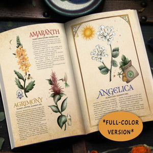 FULL COLOR Witch's Herbal Primer