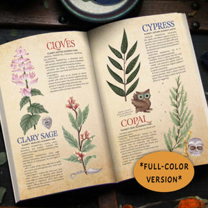 FULL COLOR Witch's Herbal Primer