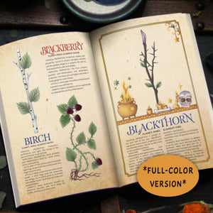 FULL COLOR Witch's Herbal Primer