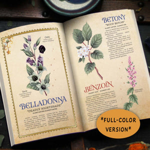 FULL COLOR Witch's Herbal Primer