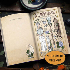 FULL COLOR Witch's Moon: A Beginner's Guide