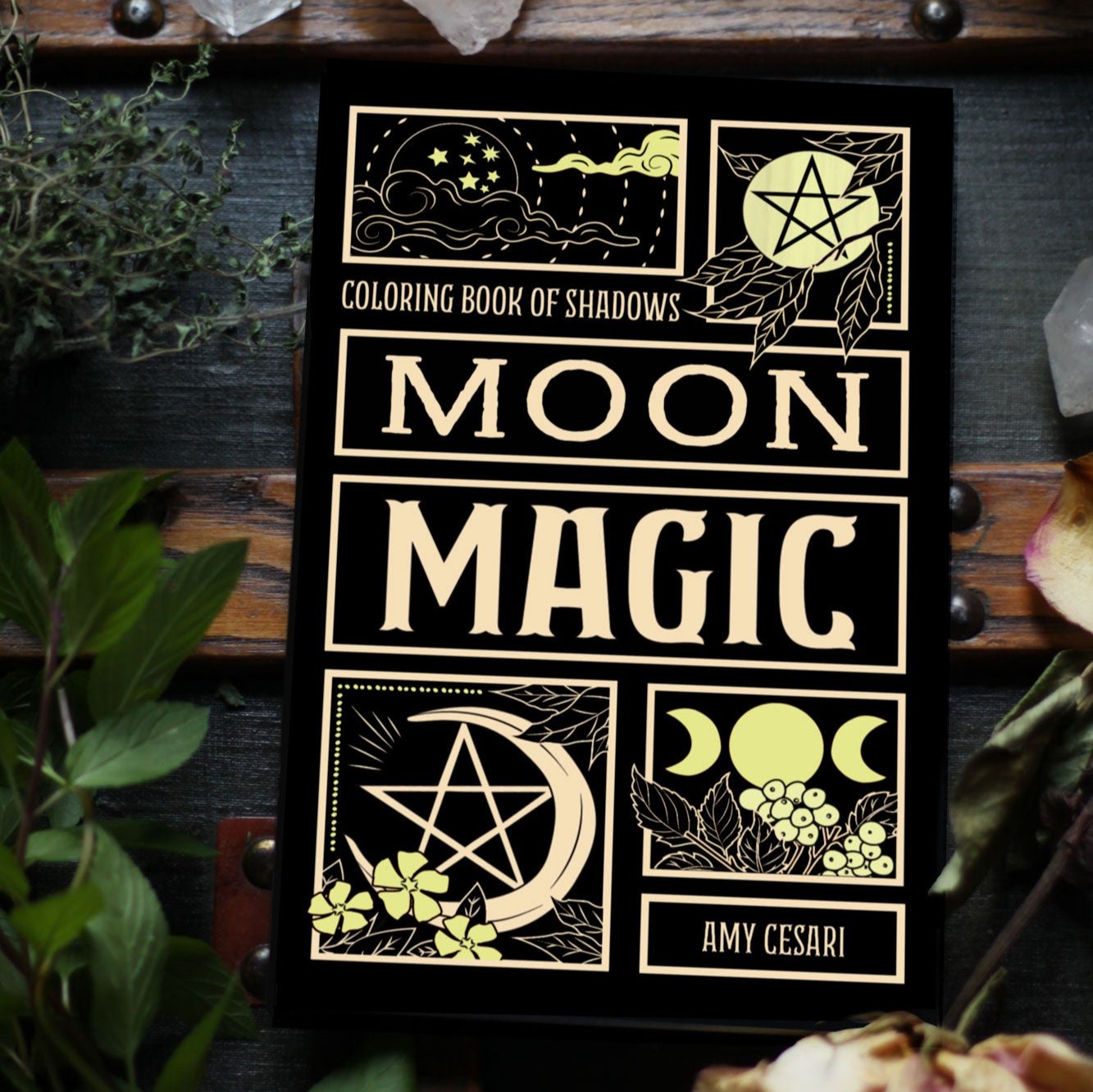 Coloring Book of Shadows: Moon Magic