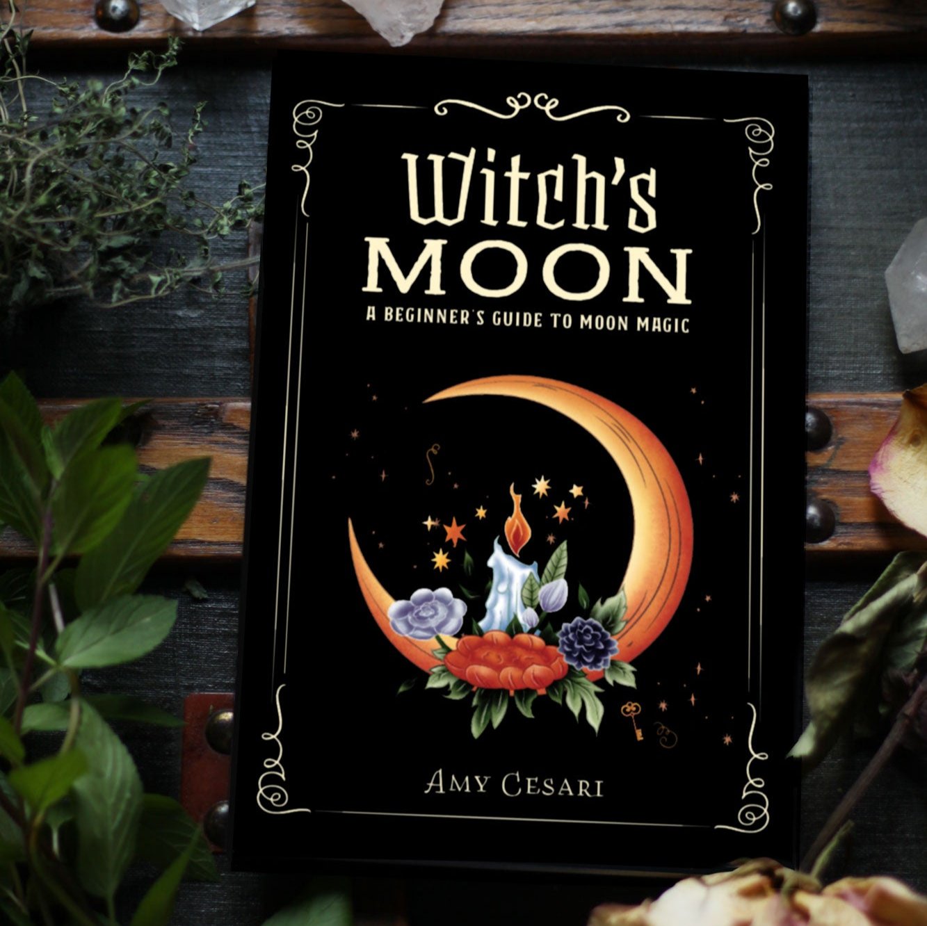 FULL COLOR Witch's Moon: A Beginner's Guide