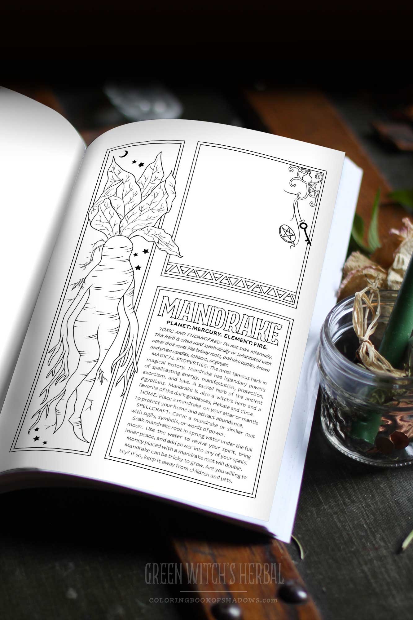 Colección completa de los libros de Herbs for Witchcraft